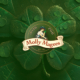 Success Story: Molly Magees
